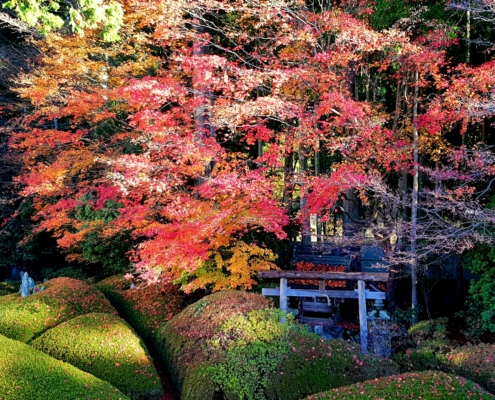 Koyasan - giardino dello Shukubo